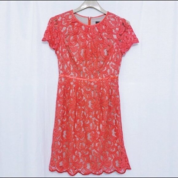 Adrianna Papell Coral Red ScallopedLace Dress Size 4 - Picture 3 of 9